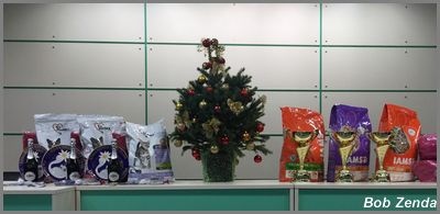Best in Show display